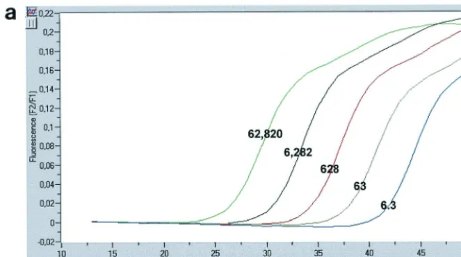 FIG. 2. Characteristics of AluNeo cell DNA. The copy numbers for each standard dilution are shown over the corresponding ﬂuorescence curve