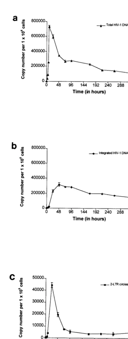 FIG. 3. Quantiﬁcation of total HIV-1 DNA (a), integrated HIV-1DNA (b), and two-LTR circles (c) during a single round of replication