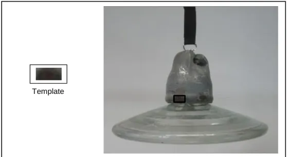 Figure 3.2: Template (Image enclosed in box) (left); Insulator Image (right) 