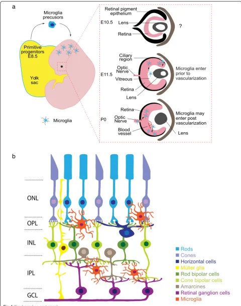 Fig. 1 (See legend on next page.)