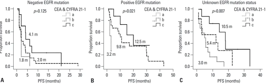 Fig. 1. Progression-free survival curves according to pretreatment serum levels of carcinoembryonic antigen (CEA) and cytokeratin-19 fragments (CYFRA 21-1)