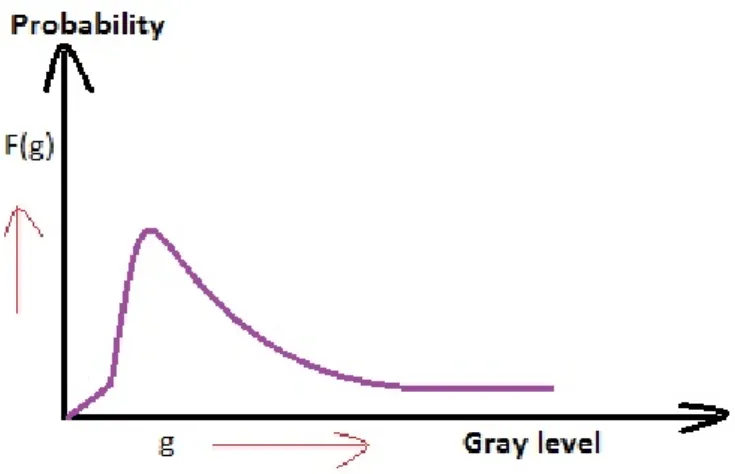Figure 3.1: Probability density function of speckle noise model