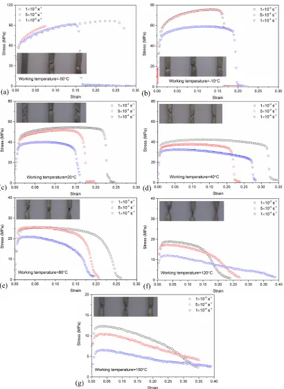 Figure 2. Tensile stress-strain response of eutectic Sn-Pb specimens at different working temperatures