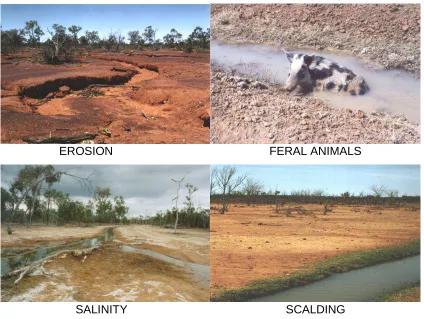 Figure 2.3 Environmental Problems with Bore Drains, Source: DNR&W 
