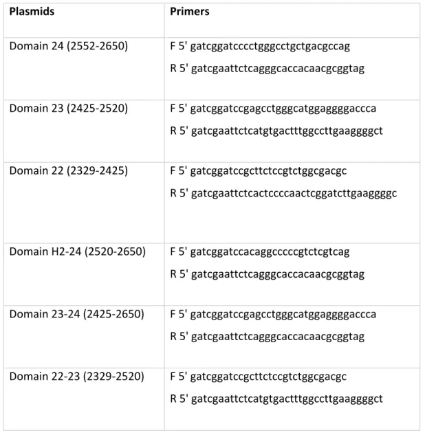 Table 2.5 (A) List of plasmids that generated for FLNA 