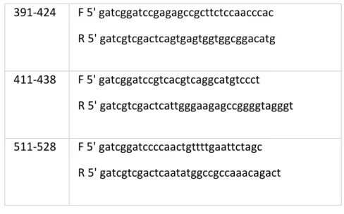 Table 2.6 Typical PCR program 