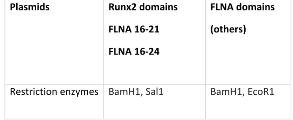 Table 2.7 Restriction enzymes used for generated plasmids. 