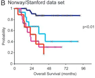 Fig. 5.Kaplan–Meier analysis of disease outcome in two patient cohorts. (A)
