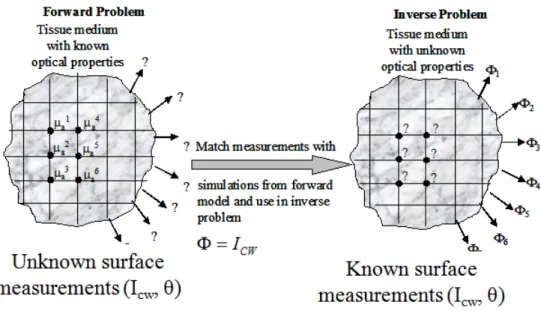 Figure 3: In the forward problem, initial source fluence and optical properties are known the resultant fluence is  calculated