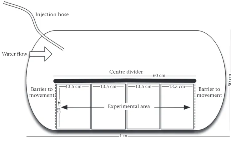 Figure 1. Overhead view of mesocosms used to simulate river microhabitats during experiments.