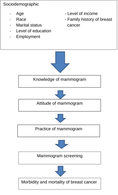 Figure 2.8: Conceptual framework for study on knowledge, attitude and practice  on mammogram screening 