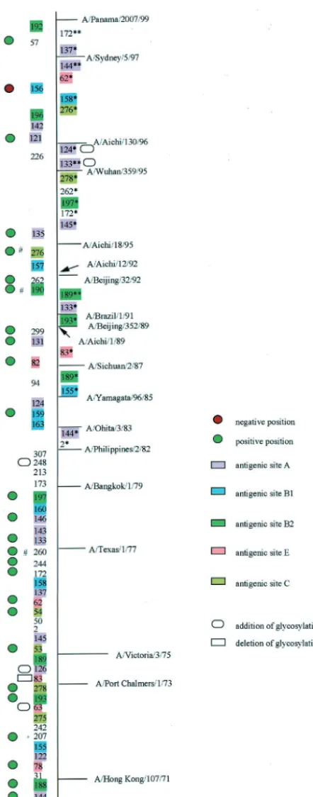 FIG. 3. Possible mainstream amino acid changes of the H3 HA1from 1968 to 2000. Possible mainstream amino acid changes are shown