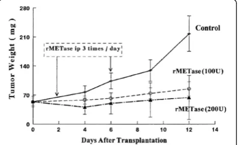 Fig. 3 Rates of transmethylation of human tumor cell lines and normalhuman fibroblast cell strains