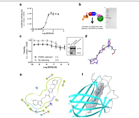 Fig. 2loading control; Pde6REM-MTX (lane A) or without Pde6 expression was reduced on average by 88% ± 3%; Average ± SEM) (One-way ANOVA (REM treatment); siNC: Superimposition of REM compound (purple) and farnesyl (grey).interacting amino acids