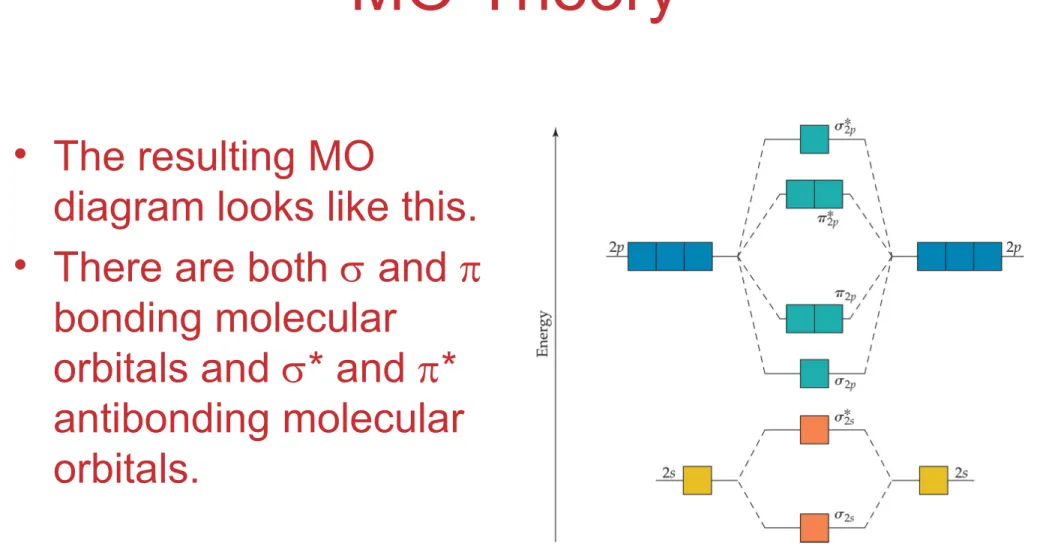 diagram looks like this. • There are both  and  