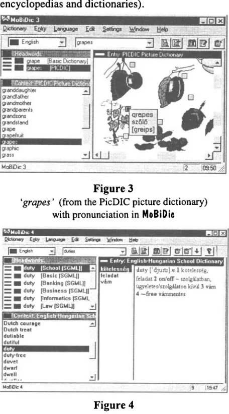 Figure 3 (from the PicDIC picture dictionary) 