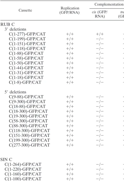 TABLE 1. Experiments with fusion proteins containing terminallytruncated fragments of the RUB and SIN C genesa