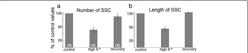 Fig. 3 Electron micrographs of dissociated hippocampal neuronal somas under control condition (a) and upon depolarization with high K+ (b).Large arrows point to subsurface cisterns where the endoplasmic reticulum (ER) comes in close contact with the plasma
