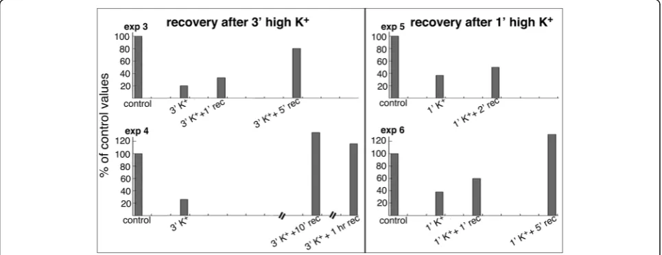 Fig. 5 Total number of SSC in pyramidal neurons of the CA1 region of hippocampus from slice cultures decreased progressively upon excitatorystimulation (plotted from two experiments in Additional file 3)