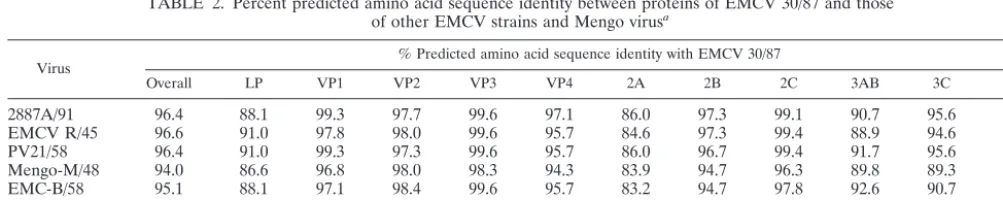 TABLE 1. Percent nucleotide sequence identity between the genes of EMCV 30/87 and those of other EMCV strains and Mengo virusa