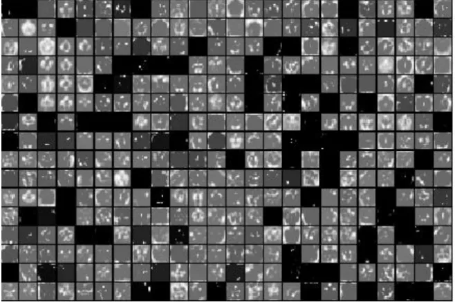 Figure 3. Activations (features) of Conv3 using MRI data were displayed for a given subject