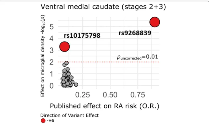 Fig. 4 Analysis of individual variants in the RA GRS on microglial density in the ventral medial caudate