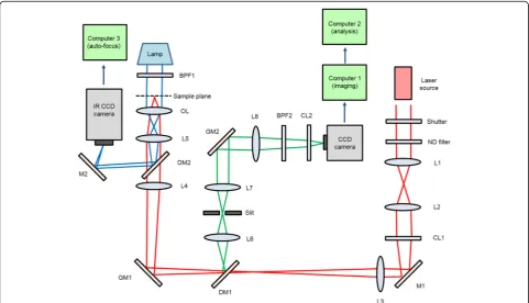 Fig. 1 Schematic diagram of the microscope. L: lens, CL: cylindrical lens, OL: objective lens, M: mirror, DM: dichroic mirror, GM: galvanometricmirror, BPF: band pass filter