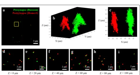 Fig. 3 Multi-color imaging of microtubule and mitochondria.sectional image in the range of z = 0 nm to 150 nm in (Maximum intensity projection images for different z-regions of ( a Two-color super-resolution images of microtubule (green) and mitochondria (