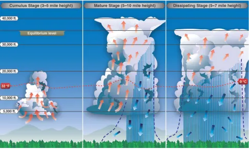 Figure 3-4. Life cycle of a thunderstorm. 