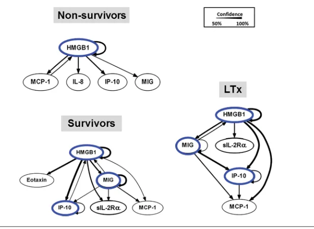 Figure 1. Dynamic Bayesian Network (DBN) analysis of circulating inflammatory mediators in PALF patients