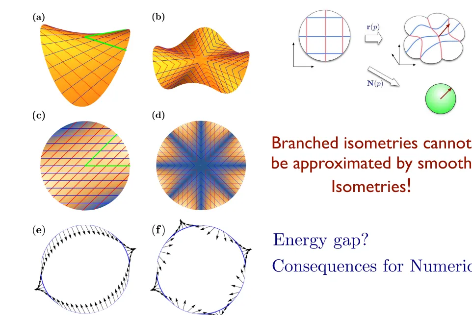 FIG. 5. Finite bending energy solutions to the Monge-Ampere equa-tion [w0, w0] = �1. (a) Three subwrinkle solution created by insert-ing three rotated and translated copies of the solution w06(x1, x2) =p