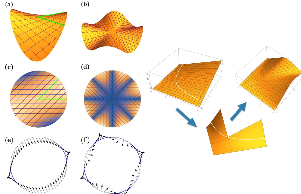 FIG. 5. Finite bending energy solutions to the Monge-Ampere equa-tion [w0 w0]1. (a) Three subwrinkle solution created by insert-