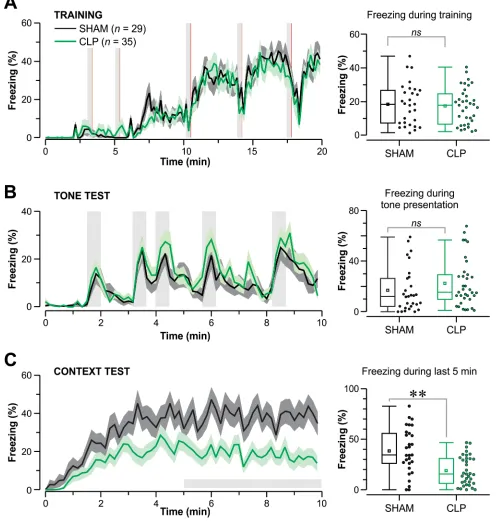 Figure 3. Impaired contextual fear memory in CLP-exposed mice. (A) (Left) The graph shows the progression of freezing (mean ± SEM) during the training phase