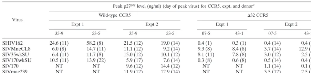 TABLE 1. Peak p27gag levels in PBMCs infected with different SIVs and SHIV
