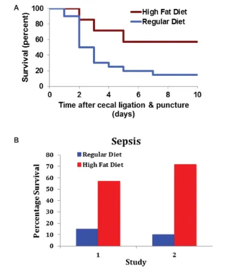 Figure 6. Experimental peritonitis with sepsis. (A) Peritonitis and sepsis were produced in mice by cecal ligation and puncture