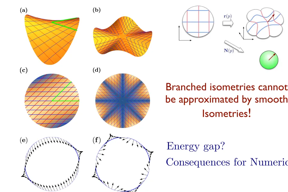 FIG. 5. Finite bending energy solutions to the Monge-Ampere equa-tion [w0, w0] = �1. (a) Three subwrinkle solution created by insert-ing three rotated and translated copies of the solution w06(x1, x2) =p