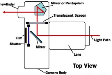 Figure 1. The image viewed from the viewfinder is the image seen through the camera lens  (Wicks, 2004).