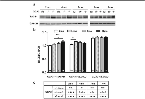 Fig. 5 GGA3 deletion prevents age-dependent elevation of BACE1 in 5XFAD mice.relative to the levels of BACE1 in homogenates from 2 months old GGA3WT;5XFAD mice (set to 1.0)