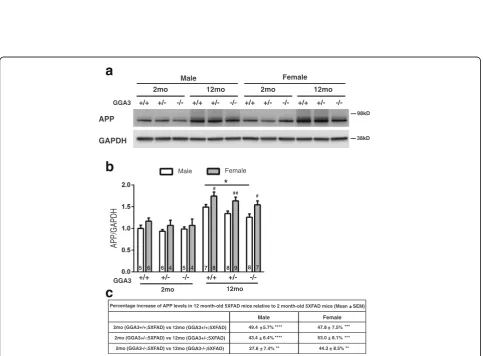 Fig. 7 GGA3 deletion increases levels of Aβ42 and amyloid plaques increase in the hippocampus of old 5XFAD;GGA3KO mice at 12 months of age.a-b Levels of human Aβ42 were quantified by ELISA (ng/mg of total protein) (Invitrogen) in hippocampus (a) and cortex