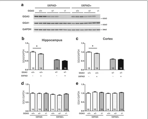 Fig. 2 GGA3 levels are reduced in both hippocampus and cortex of young 5XFAD mice.in GGA3WT mice set to 1.0