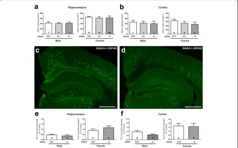 Fig. 3 GGA3 deletion does not increase levels of Apercentage area occupied by amyloid plaques stained with Thioflavin-S in hippocampus (β42 and amyloid plaques in young 5XFAD mice