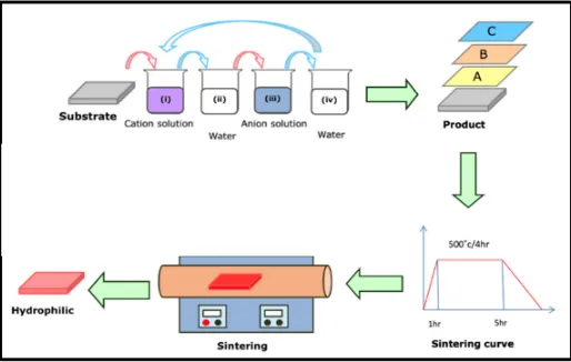 Figure 1. Process of manufacture. 