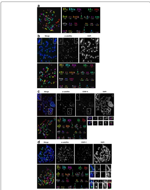Fig. 3 (See legend on next page.)
