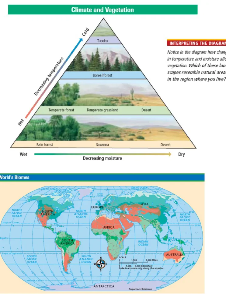 DIAGRAM A – Relationship between Climate and Vegetation