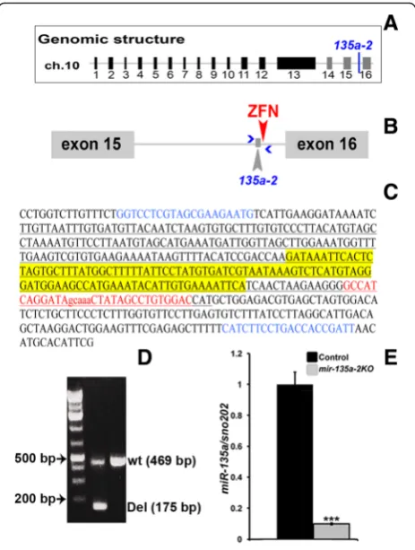 Figure S3A). It is worth noticing that the genes targeted by
