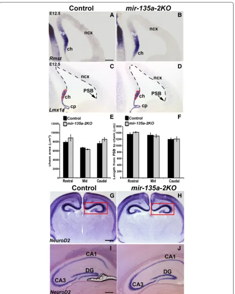 Fig. 4 (See legend on next page.)