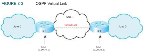 FIGURE 3-3 OSPF Virtual Link 