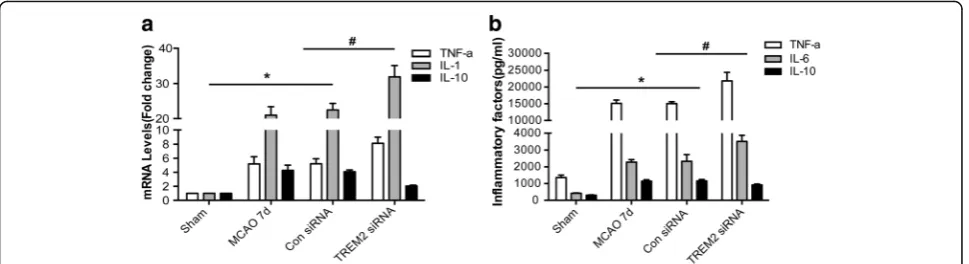 Fig. 5 Inhibition of TREM2 facilitates the inflammation induced by ischemia in MCAO mice