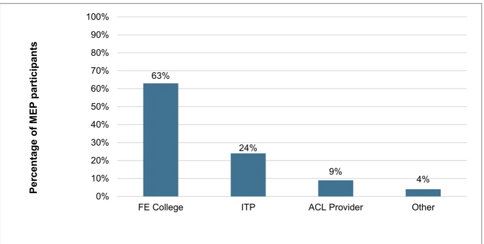 Table 2: Types of provider participating in the MEP 