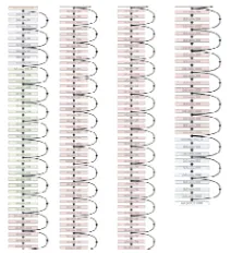 Figure 1. The structure of ResNet. 